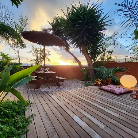 Apartment Medano4you La Terraza De Isa